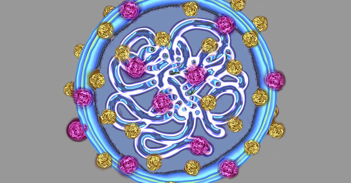 FDA approves first-ever RSV vaccine for older adults, a huge milestone.