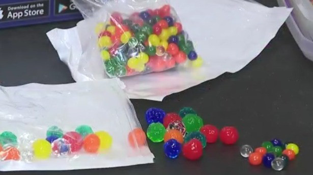 Featured image for Water Beads Sales Halted by Major Retailers Amid Safety Concerns