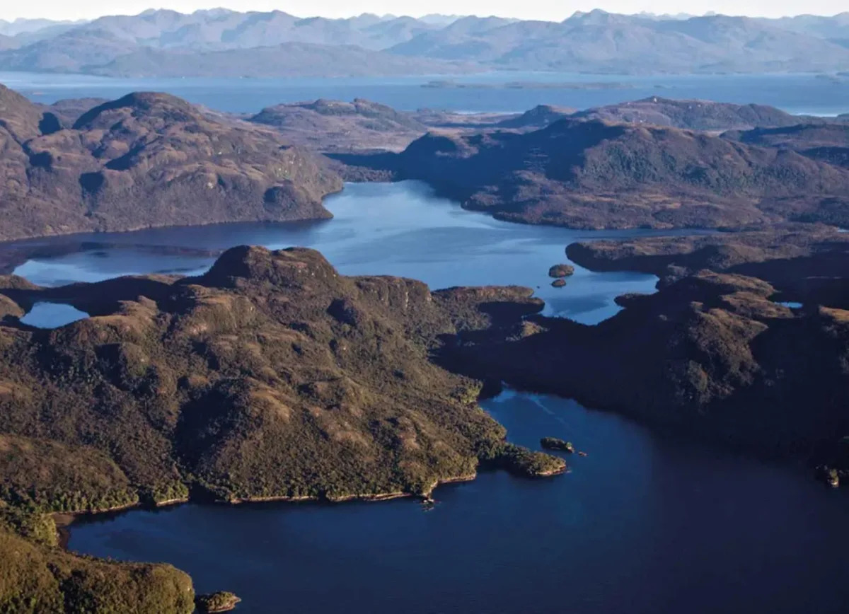 Featured image for "Billionaire Duo's $300 Million Land Purchase Aims to Shield Nature from Development"