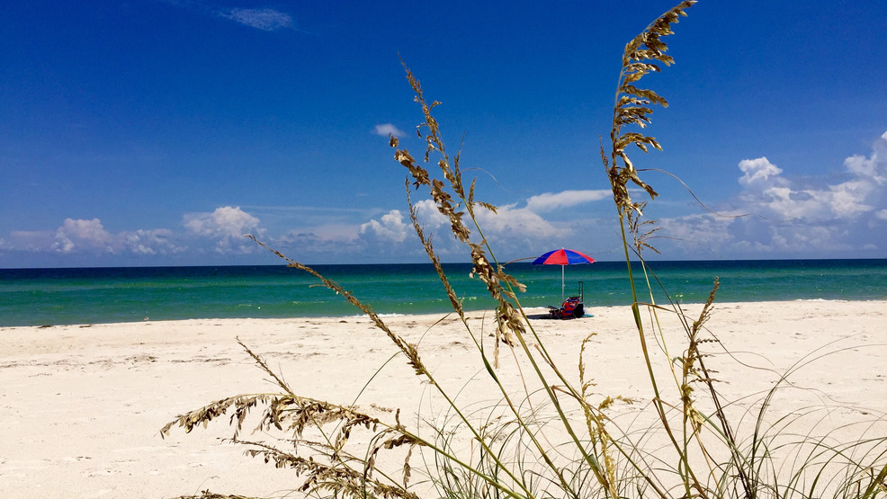 Top US Beaches of 2023: Florida and Hawaii Dominate Rankings.