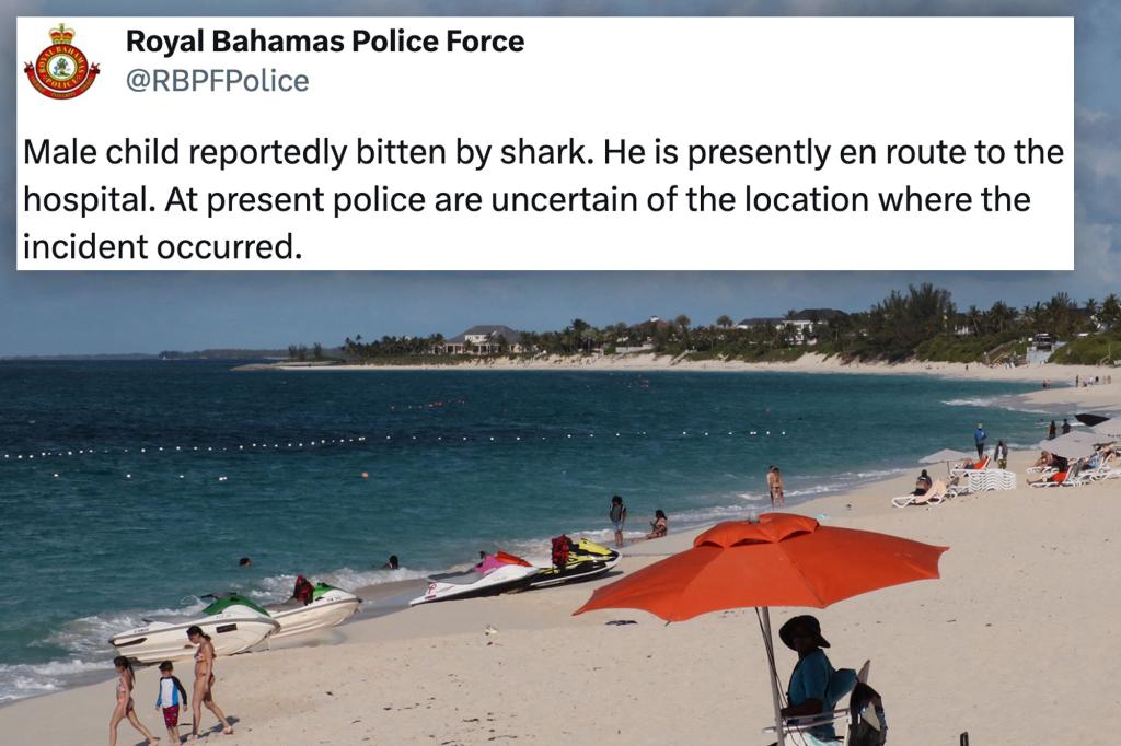 "Maryland Boy, 10, Bitten by Shark in Bahamas Resort Tank"