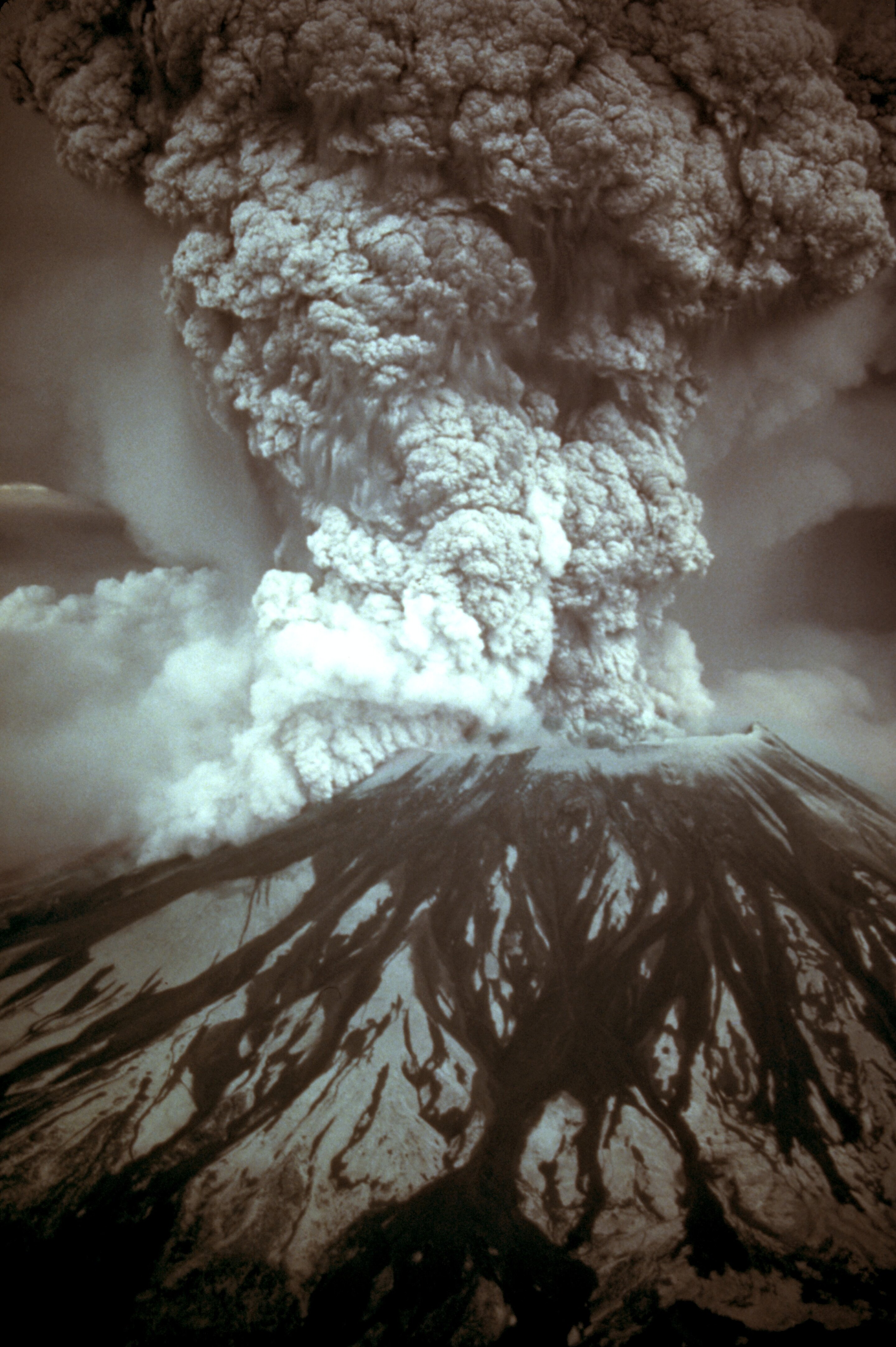 Featured image for Gophers' Role in Reviving Mount St. Helens Ecosystem