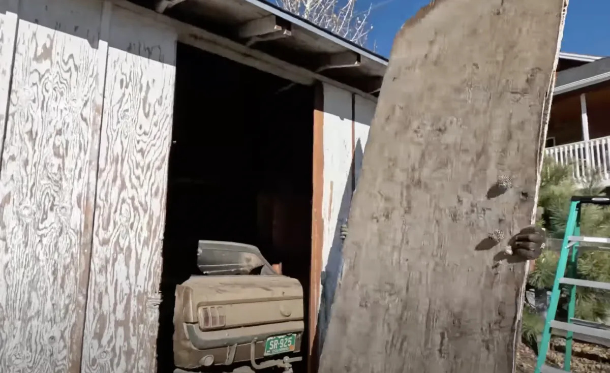 Featured image for "Long-Lost 1966 Ford Mustang Resurfaces After 4 Decades"