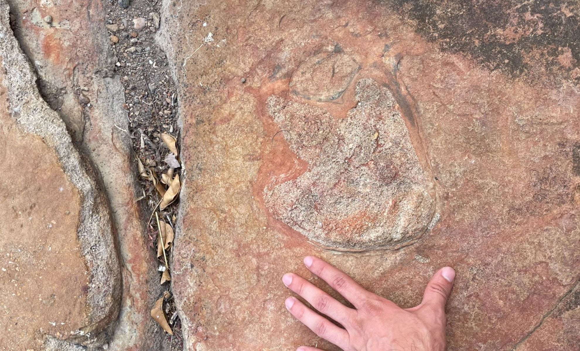 Featured image for Ancient Rock Art Near Dinosaur Tracks Baffles Scientists