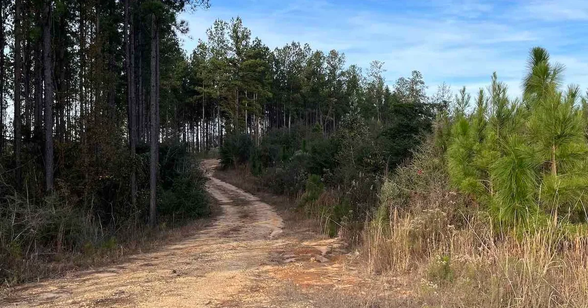 Featured image for Green Energy Initiatives Face Setbacks Amid Political and Market Challenges