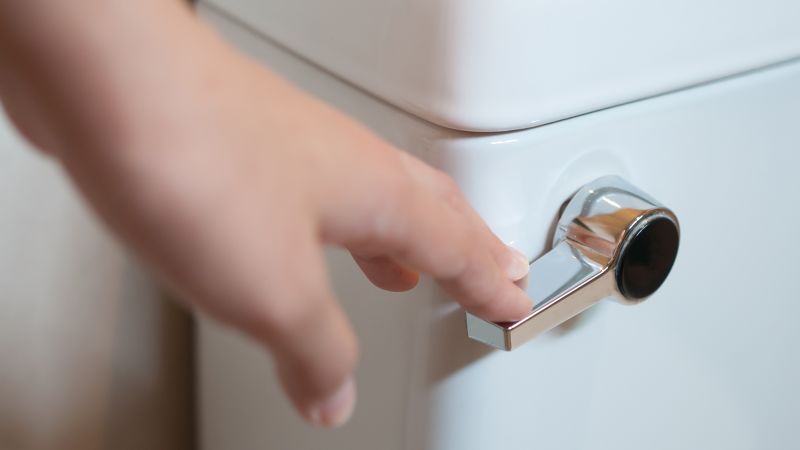 Decoding the Hidden Messages in Your Poop Color