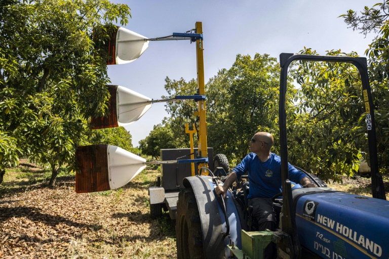 "Revolutionizing Agriculture: Israel's High-Tech Farming with Drones, AI, and Big Data"