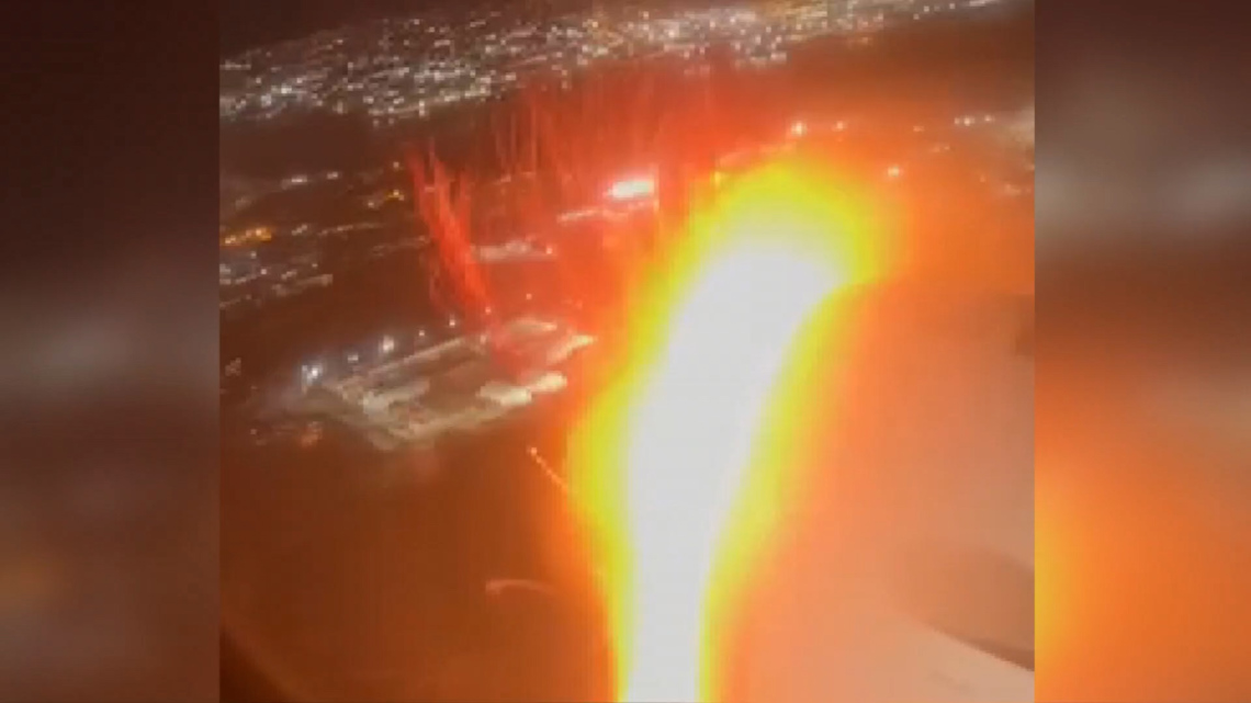 Featured image for Bird Strike Forces Emergency Landing of American Airlines Flight at LaGuardia