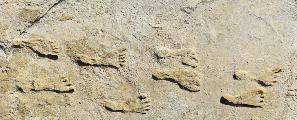 Featured image for "Breakthrough Discovery: Oldest Human Footprints in North America Date Back 21,500 Years"