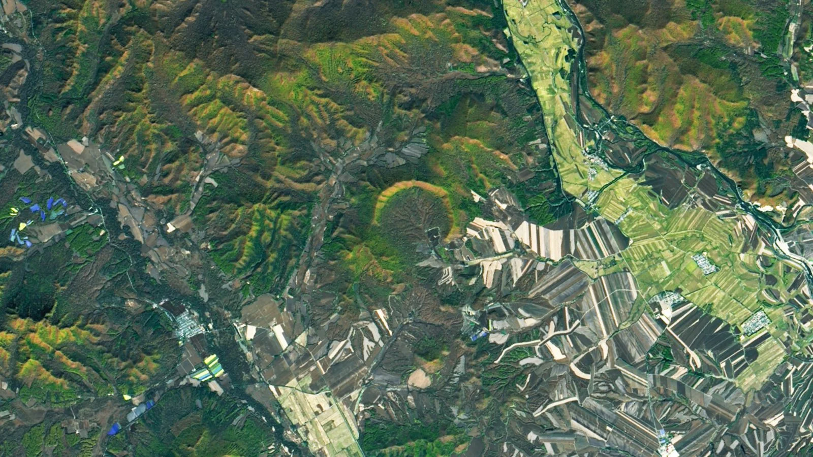 China’s forest hides Earth's youngest major crater