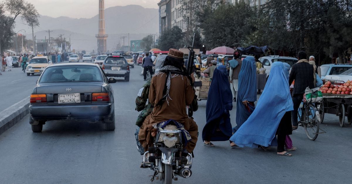 UN Security Council Condemns Taliban's Ban on Women Working for UN