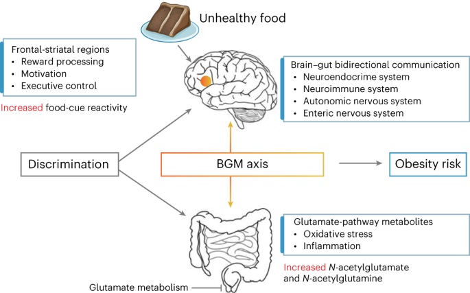 The Impact of Discrimination on Food Choices and Health Risks: Brain-Gut Crosstalk Revealed
