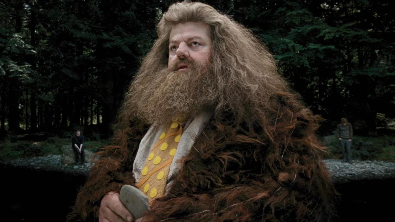 Featured image for First Look at Nick Frost as Hagrid in the New Harry Potter HBO Series