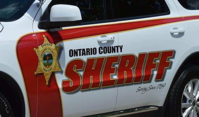 Featured image for Man in Farmington Falsely Claims Stray Dog, Deputies Discover Truth