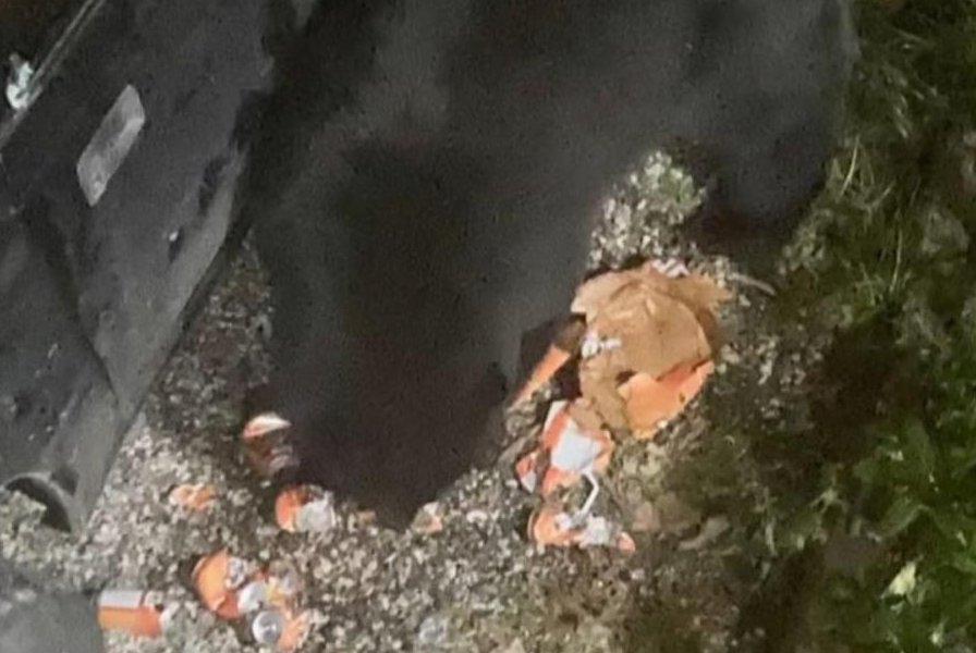 Bear drinks 69 cans of soda after breaking into car.