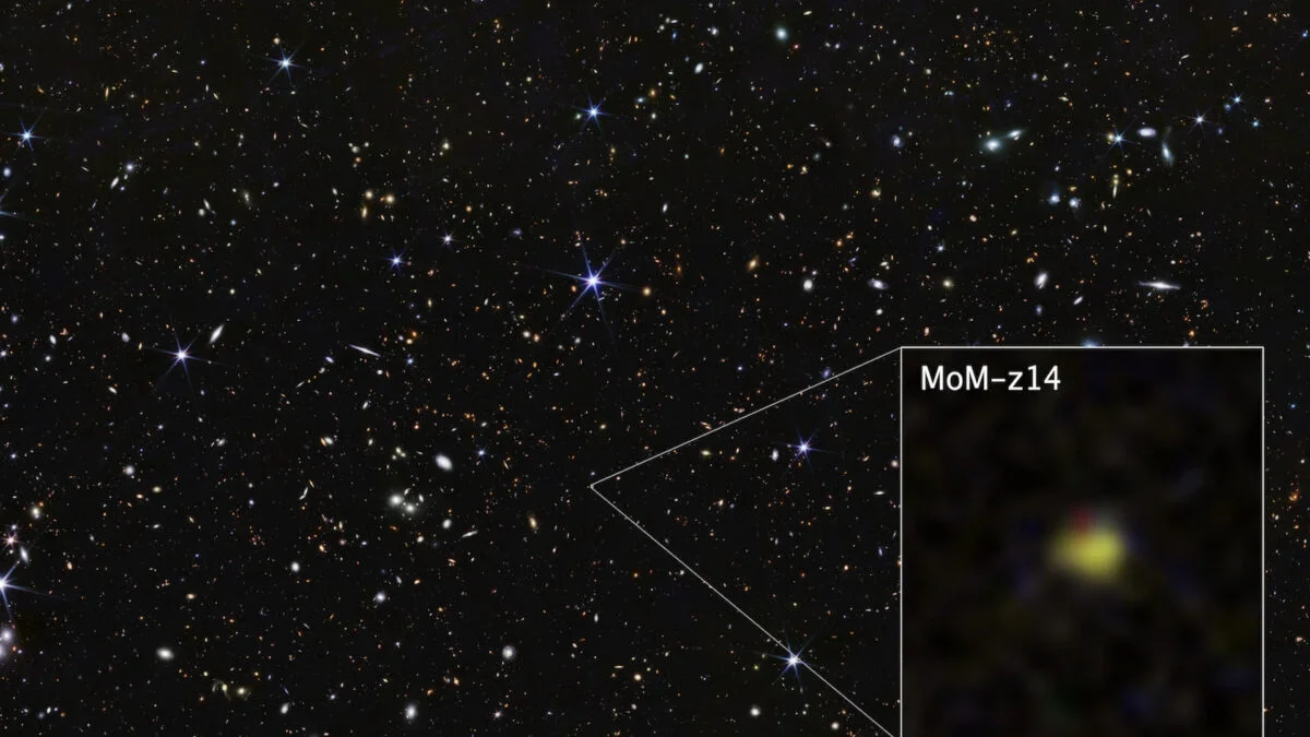 Webb Spots MoM-z14, the Galaxy Born 280 Million Years After the Big Bang