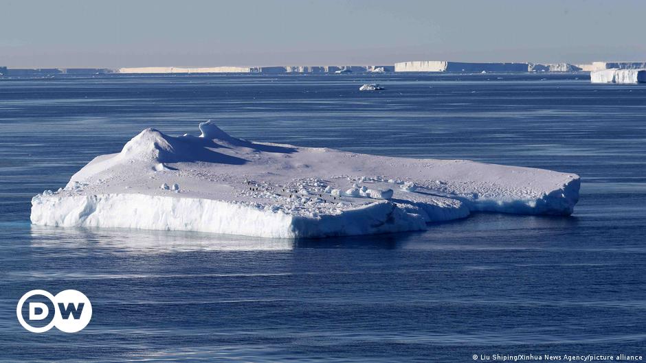 Featured image for Impending Collapse of West Antarctic Ice Sheet Deemed Unavoidable