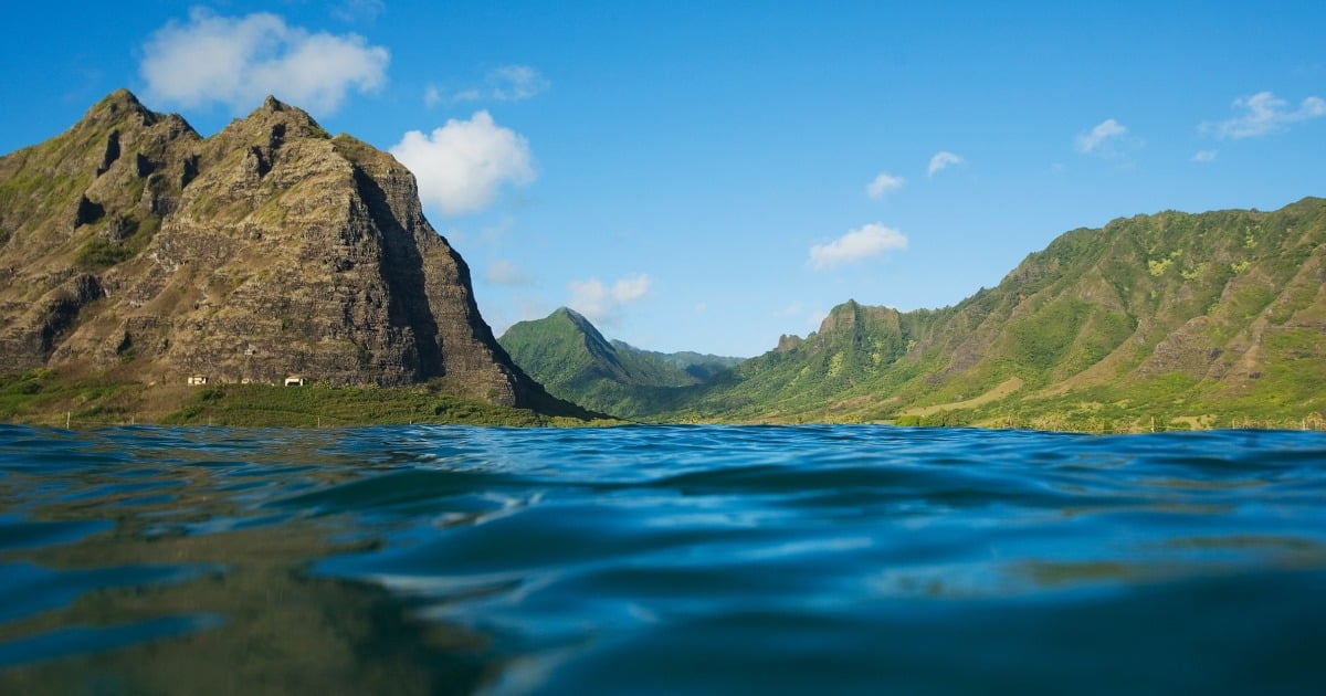 Featured image for "11-Year-Old Girl Possibly Bitten by Shark at Hawaii Surf Spot"