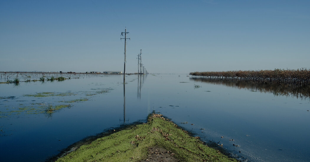California's Farms Replaced by Captivating Vast Lake.