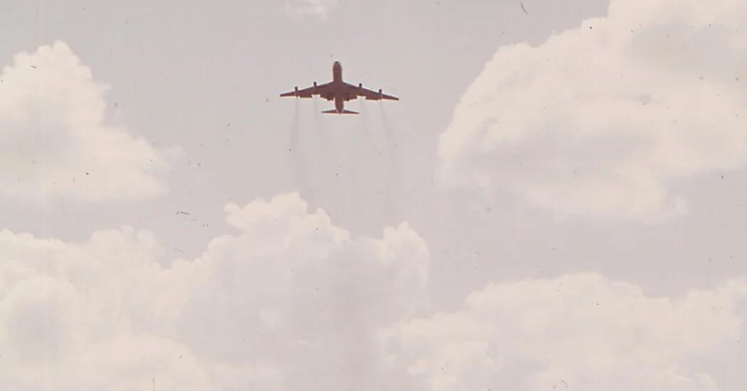 Featured image for Federal Judge Temporarily Halts Expansion of Florida's Alligator Alcatraz Detention Center