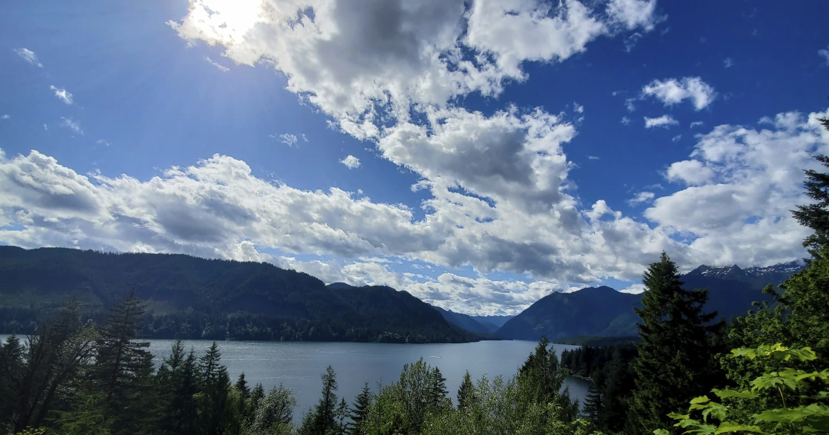 Featured image for Brave 8-year-old escapes cougar attack in Washington state national park