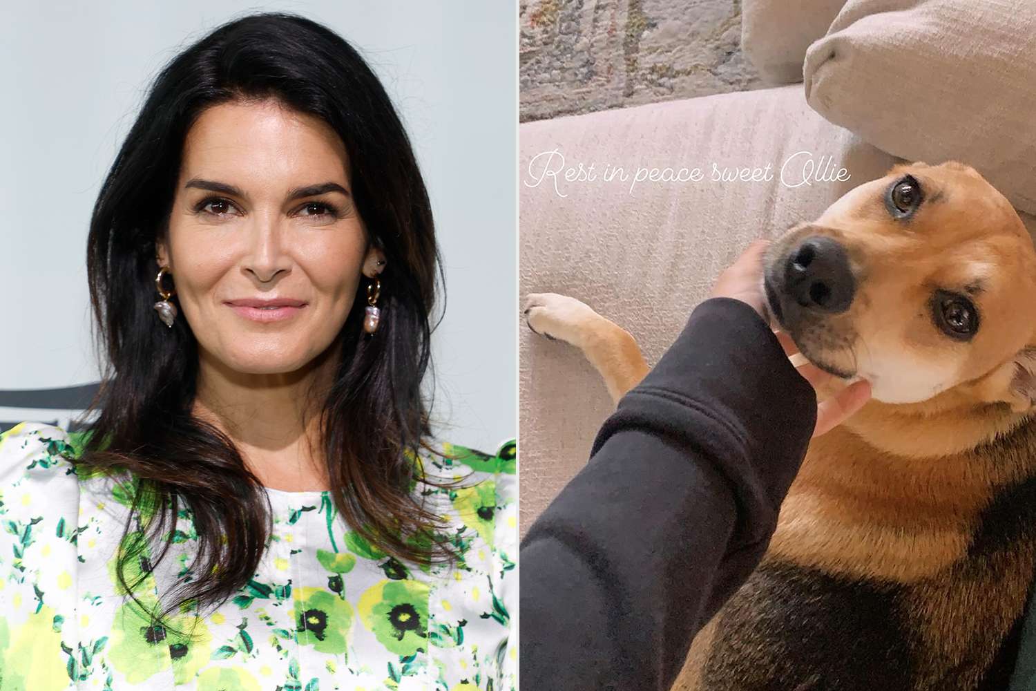 Featured image for "Actress Angie Harmon Traumatized After Instacart Driver Shoots and Kills Her Dog"