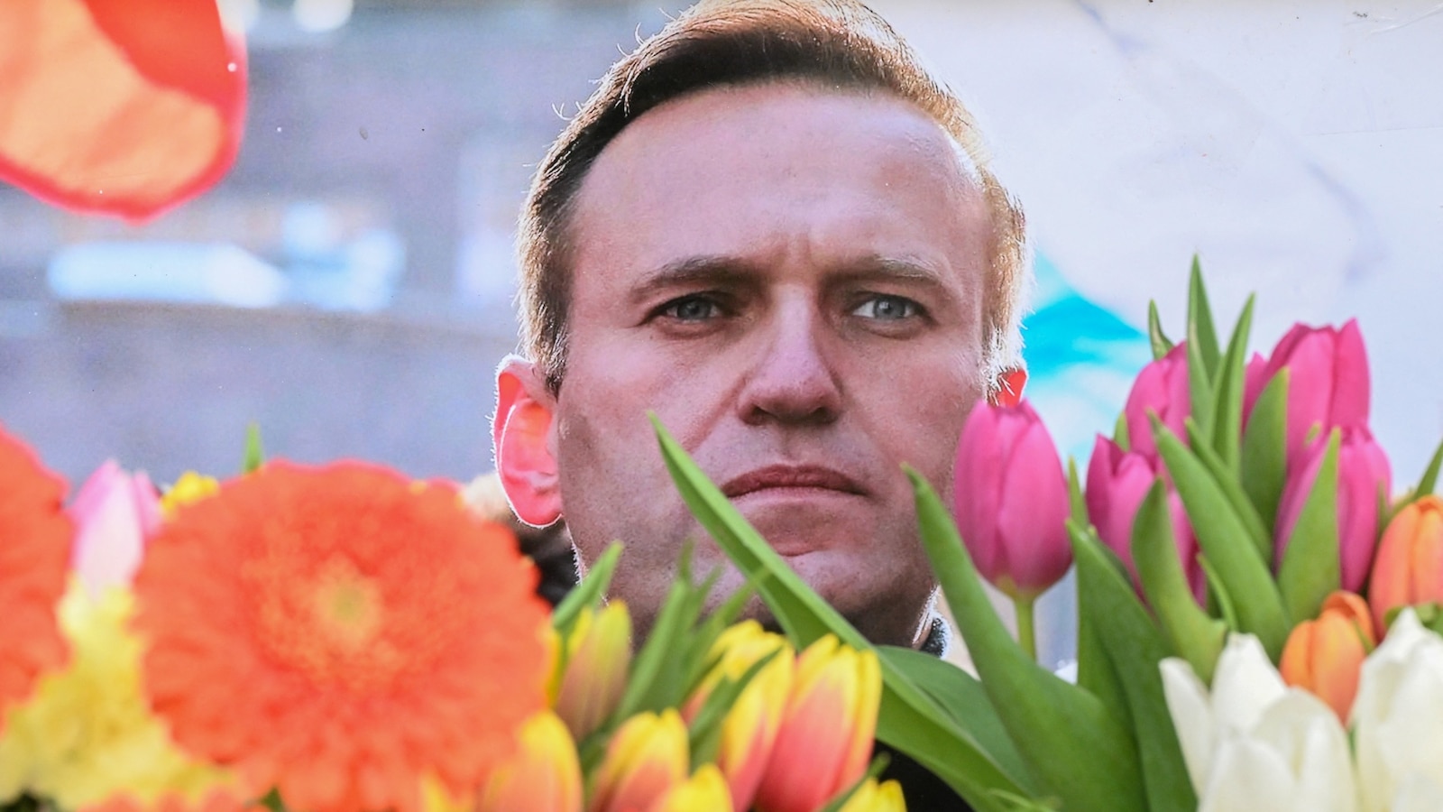 "Russian Opposition's Fight for Justice: Navalny's Family Appeals to Kremlin"