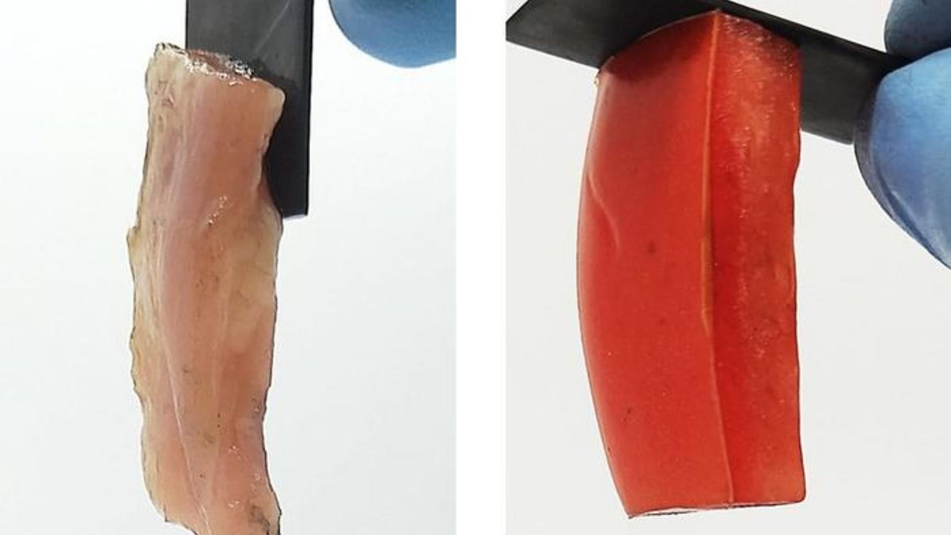 Featured image for "Electricity-Enabled Material Adhesion: A Shocking Scientific Breakthrough"