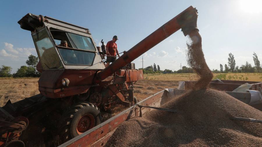 Featured image for EU States Call for Extension of Ban on Ukrainian Grain