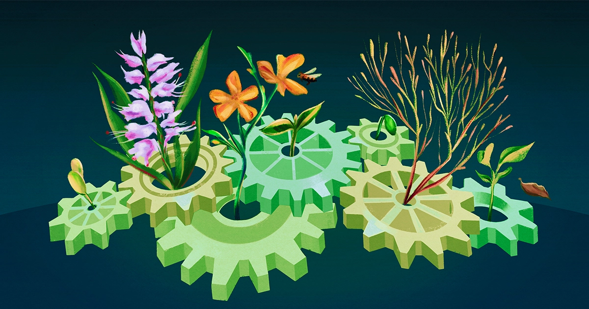 Featured image for Uncovering Species Diversity through Similarities.