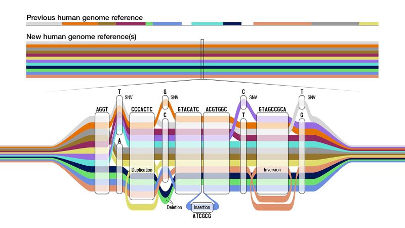 The Pangenome: A Comprehensive View of Human Genomic Diversity