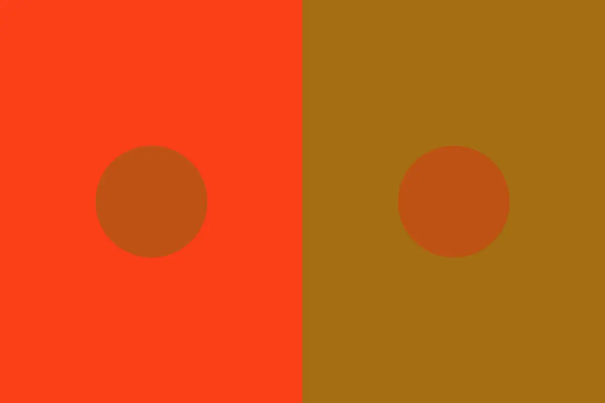 Featured image for Neuroscientist Dale Purves Explains Brain Function