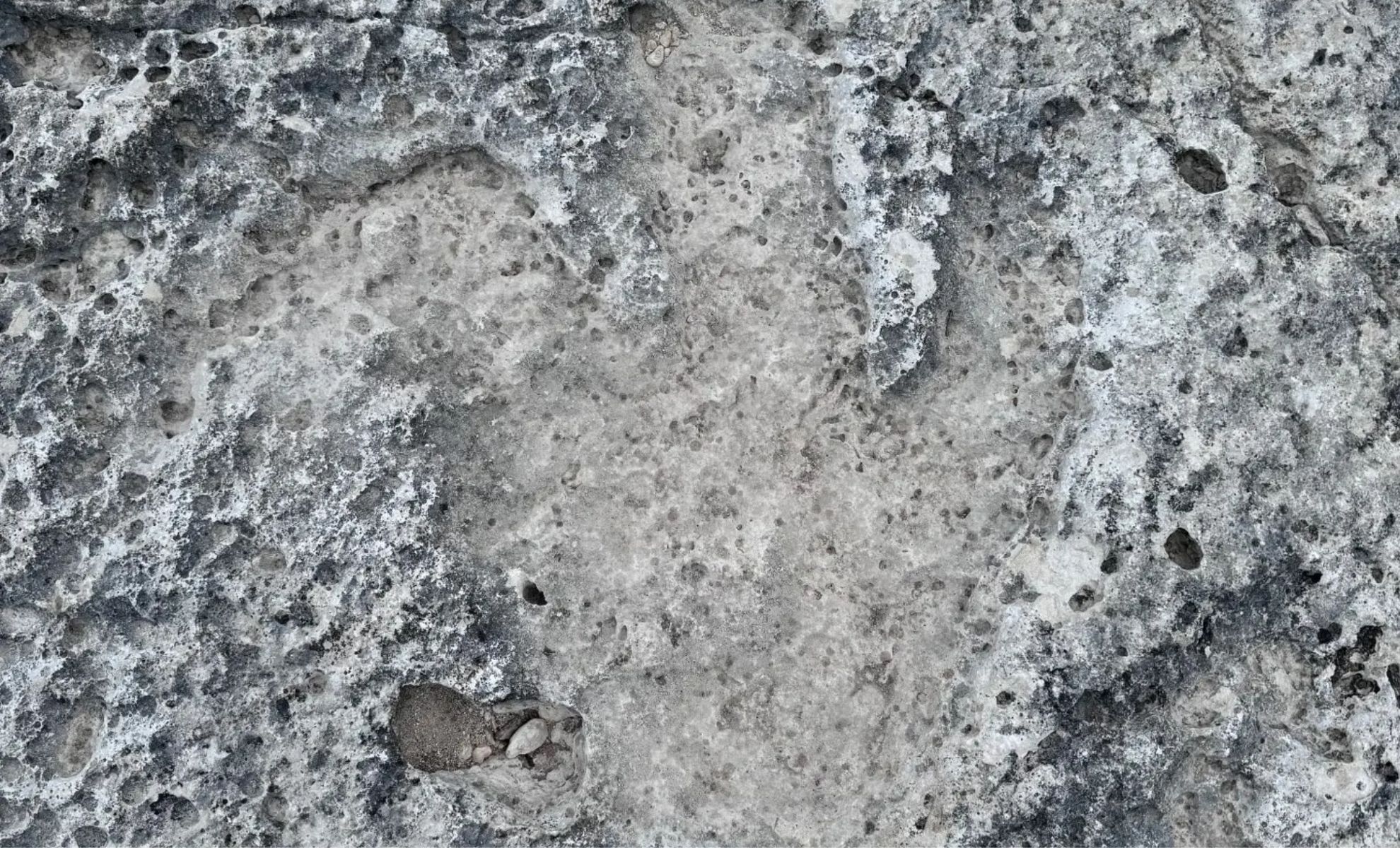 Featured image for Flooding in Texas Uncovers 115-Million-Year-Old Dinosaur Footprints