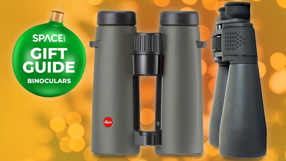 Featured image for "Top Binoculars for the Perfect Christmas Gift in 2023"
