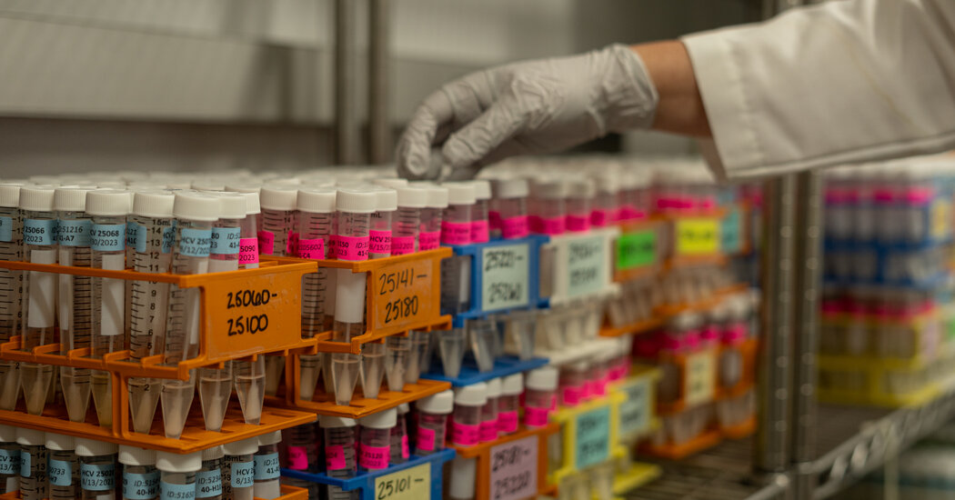 Featured image for "Anticipating the Future of the Coronavirus"