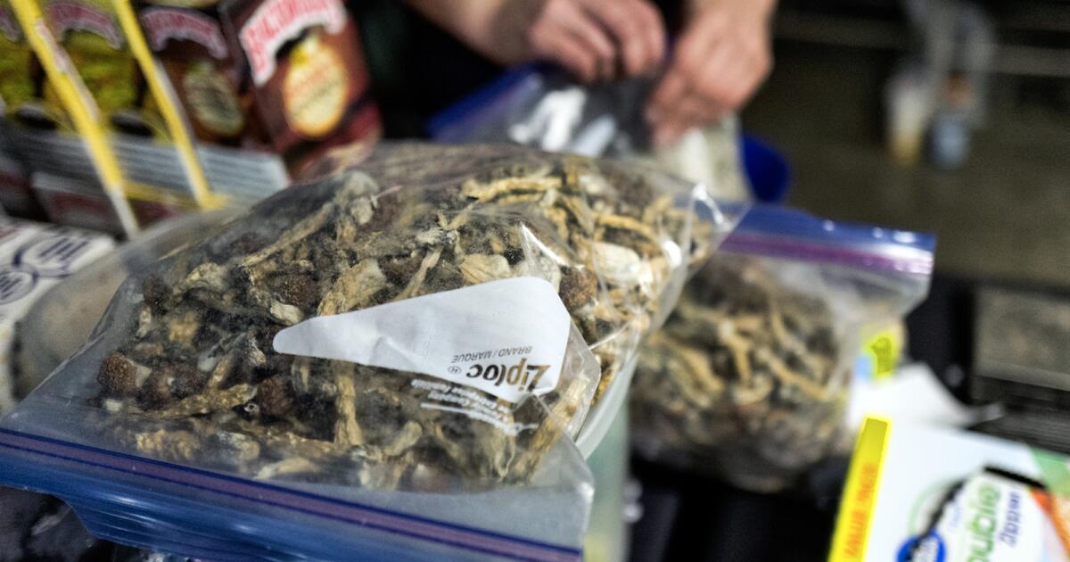 "Newsom Vetoes California Bill to Decriminalize Psychedelics, Concerns Arise"