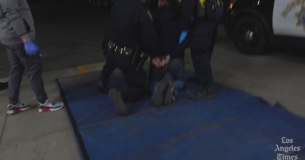 7 CHP officers and nurse charged in death of motorist in custody.