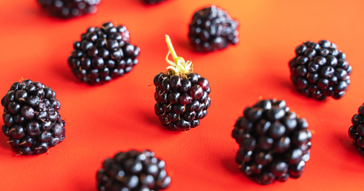 Featured image for "Blackberry Benefits: Heart and Brain Protection Through Antioxidants and Fiber"