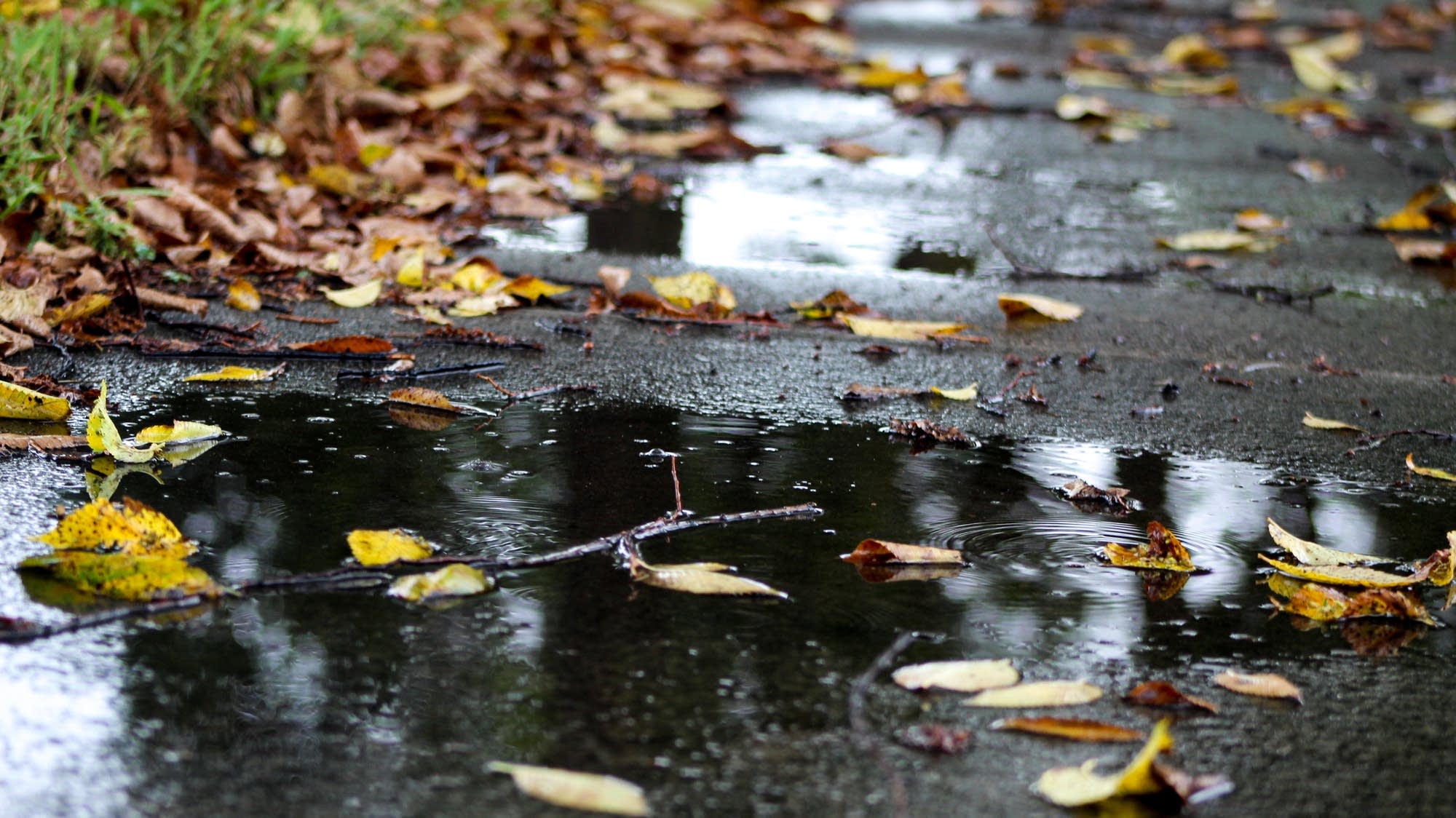 Weather Update: Moisture, Frost, Wind, and Temperature Changes Ahead