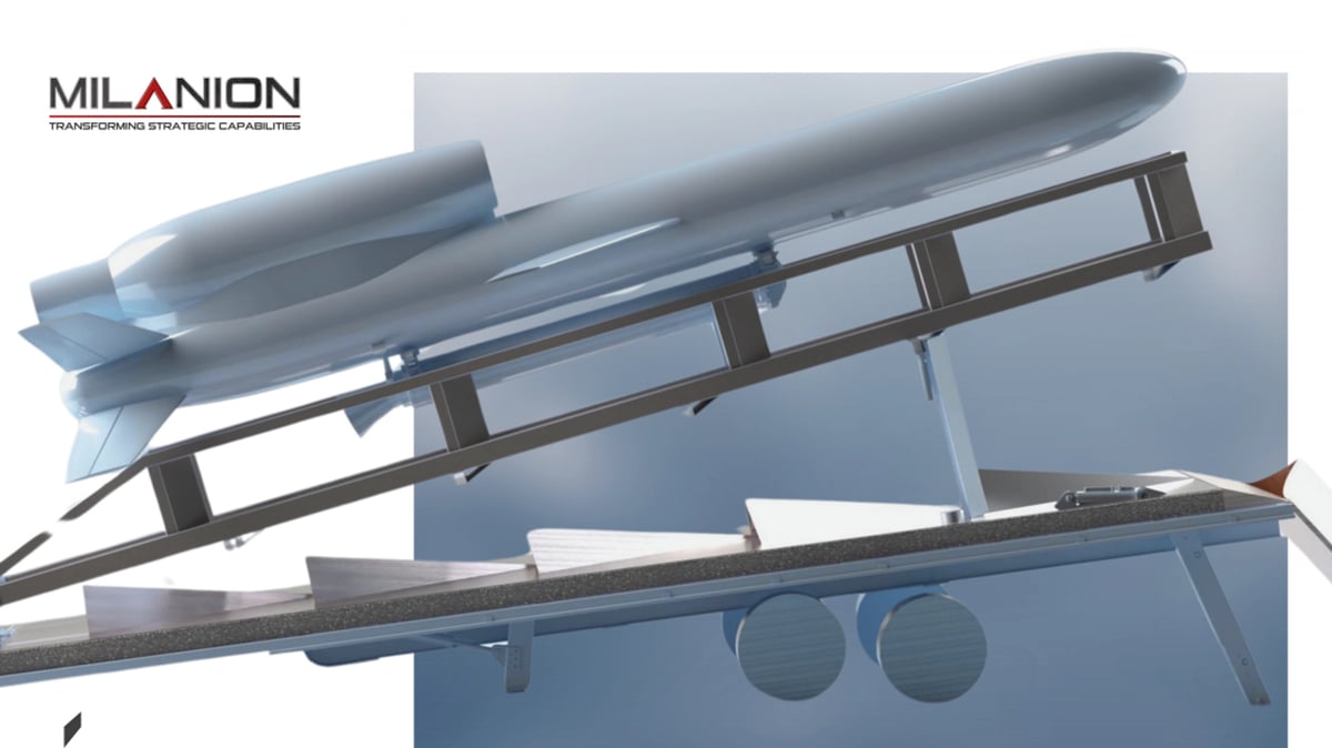 Featured image for Ukraine Develops Flamingo Cruise Missiles to Counter Russian Threats