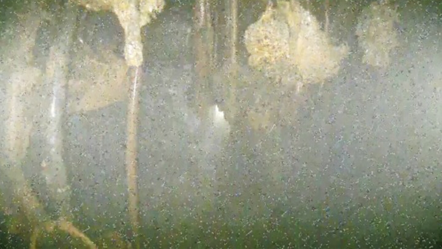 Featured image for "Unanswered Questions: Inside the Melted Fukushima Reactor"