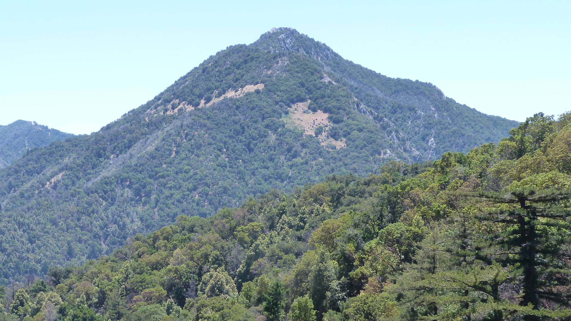 Satellite Technology Saves Girl Scout Injured in California Canyon