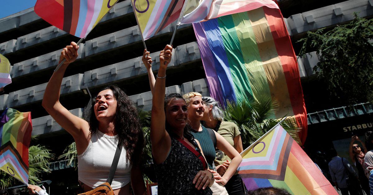 Turkish LGBTQ Community Faces Hostility and Arrests During Pride Events