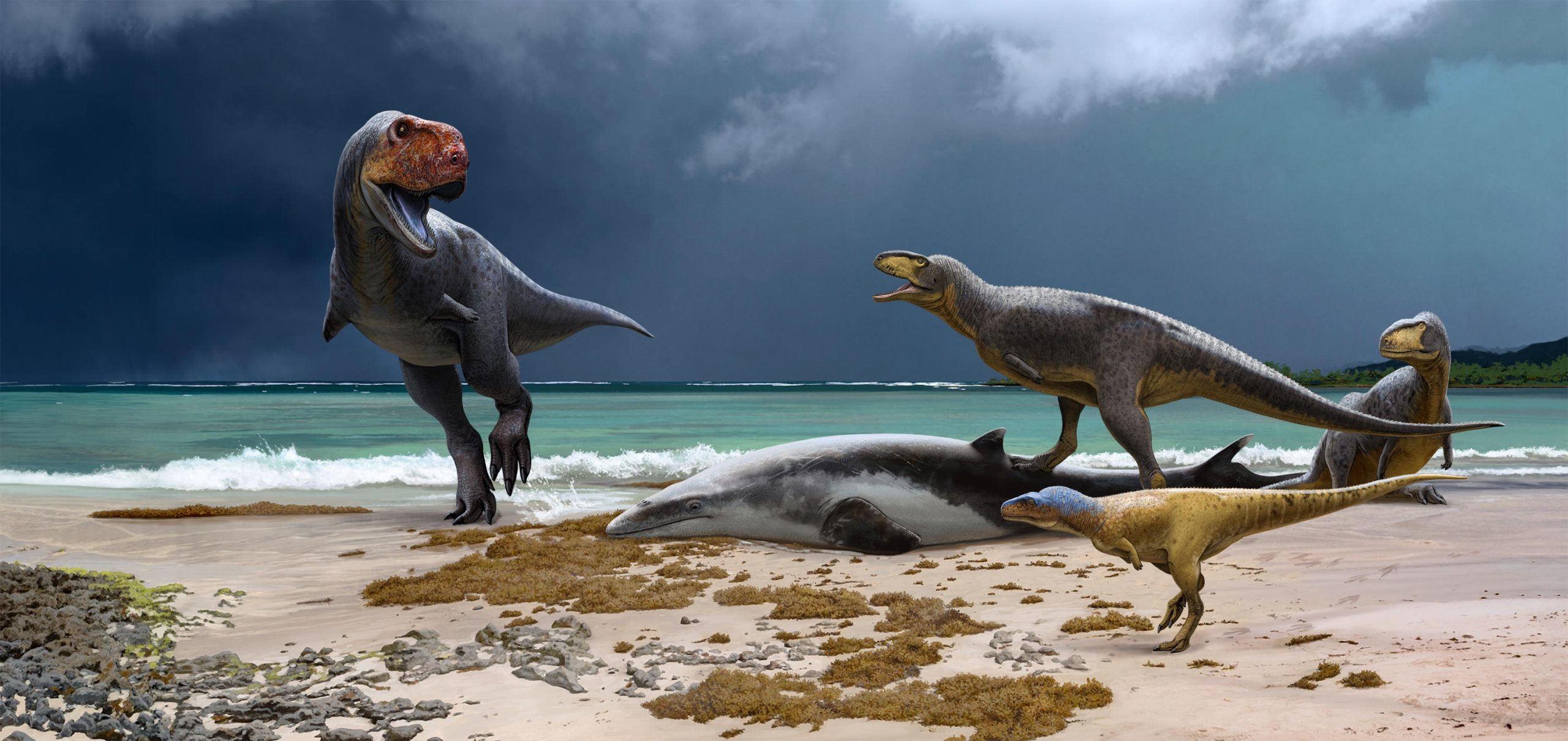 "Unearthing Africa's Ancient T. Rex Relatives: A Glimpse into the Dinosaur Era's Final Chapter"