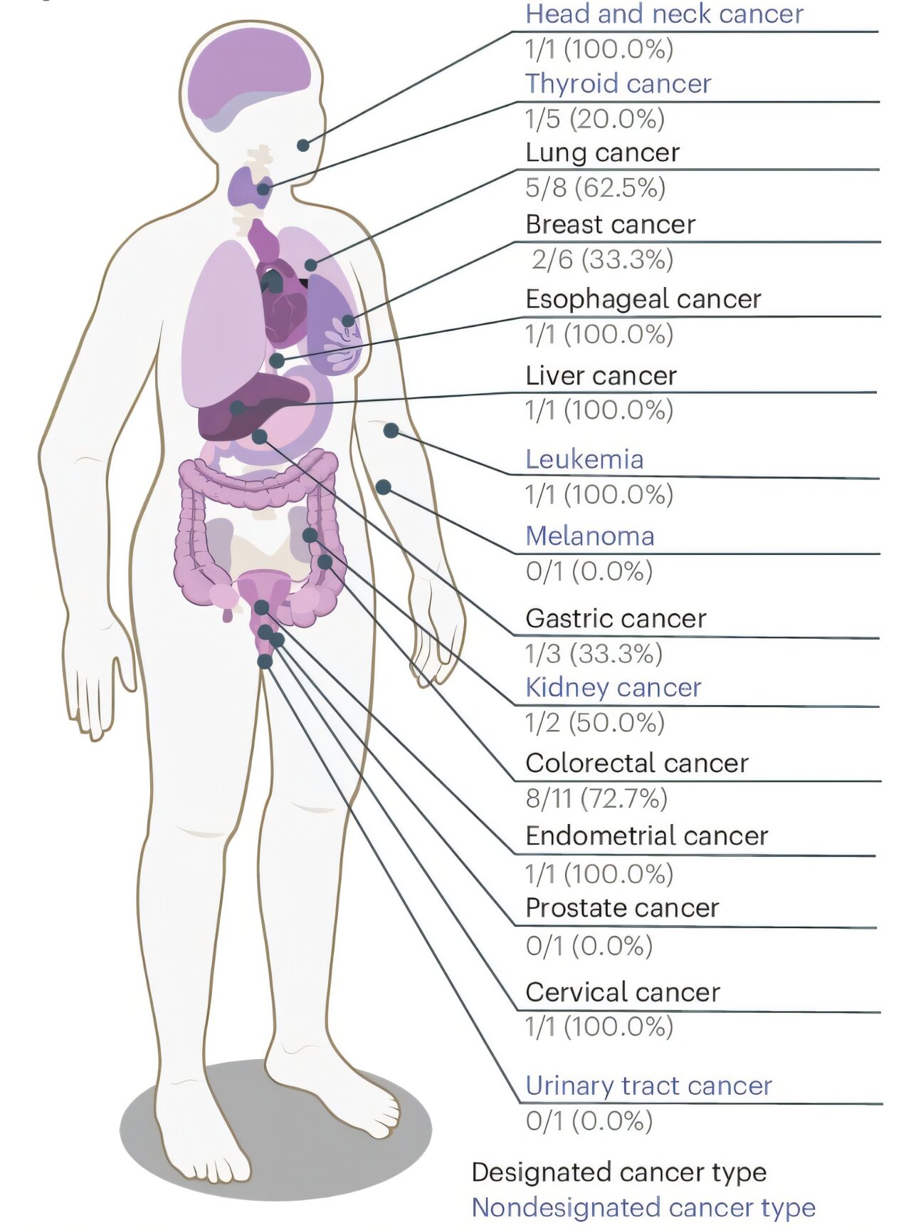 Featured image for Blood Test Identifies Multiple Cancers via Cell-Free DNA