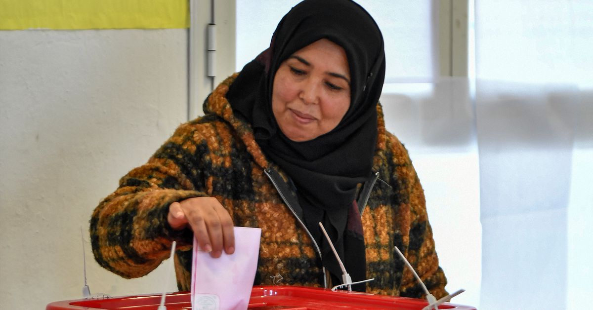 Featured image for "Global Democracy Faces Crucial Test in 2024's Unprecedented Election Wave"