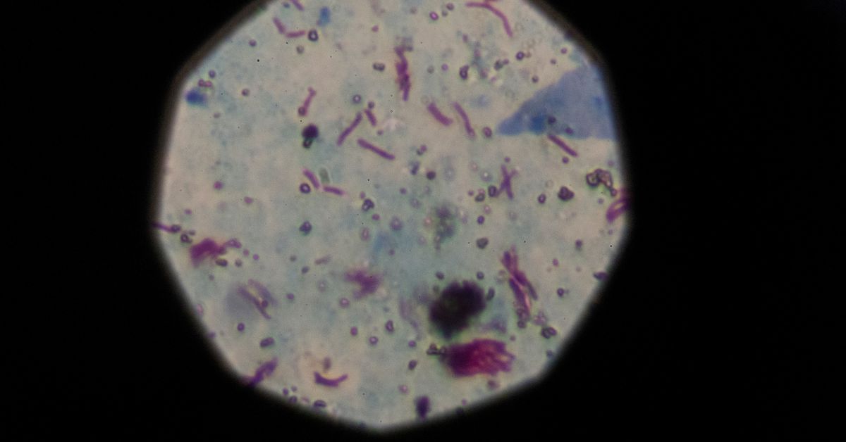 Featured image for The Impact of Climate Change on Global Health Crises