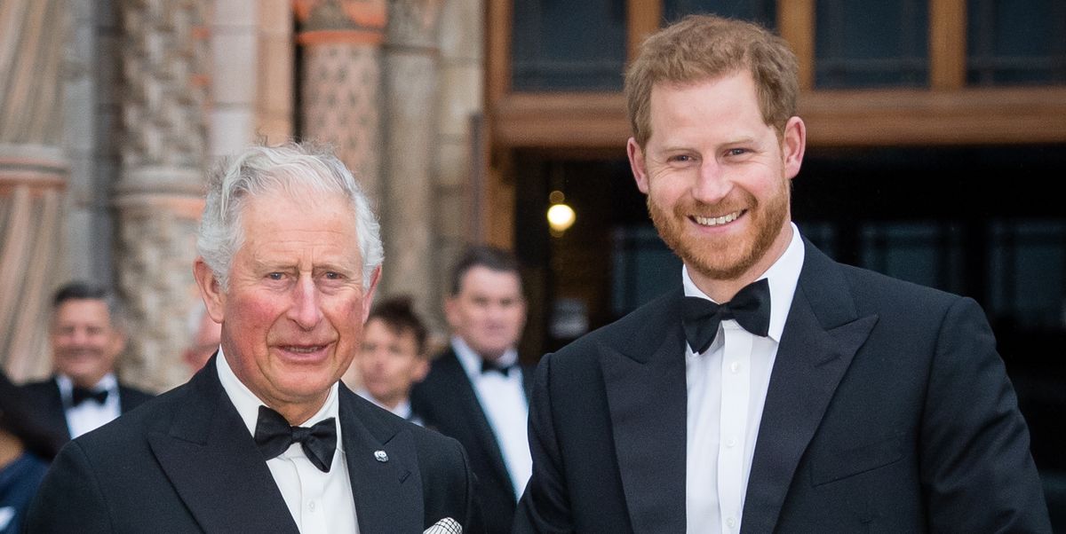 Prince Harry's Loyalty Shines at King Charles' Coronation