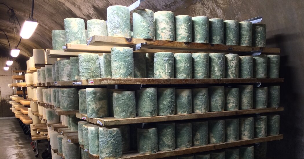 Featured image for The Transformation of Green Cheese to White