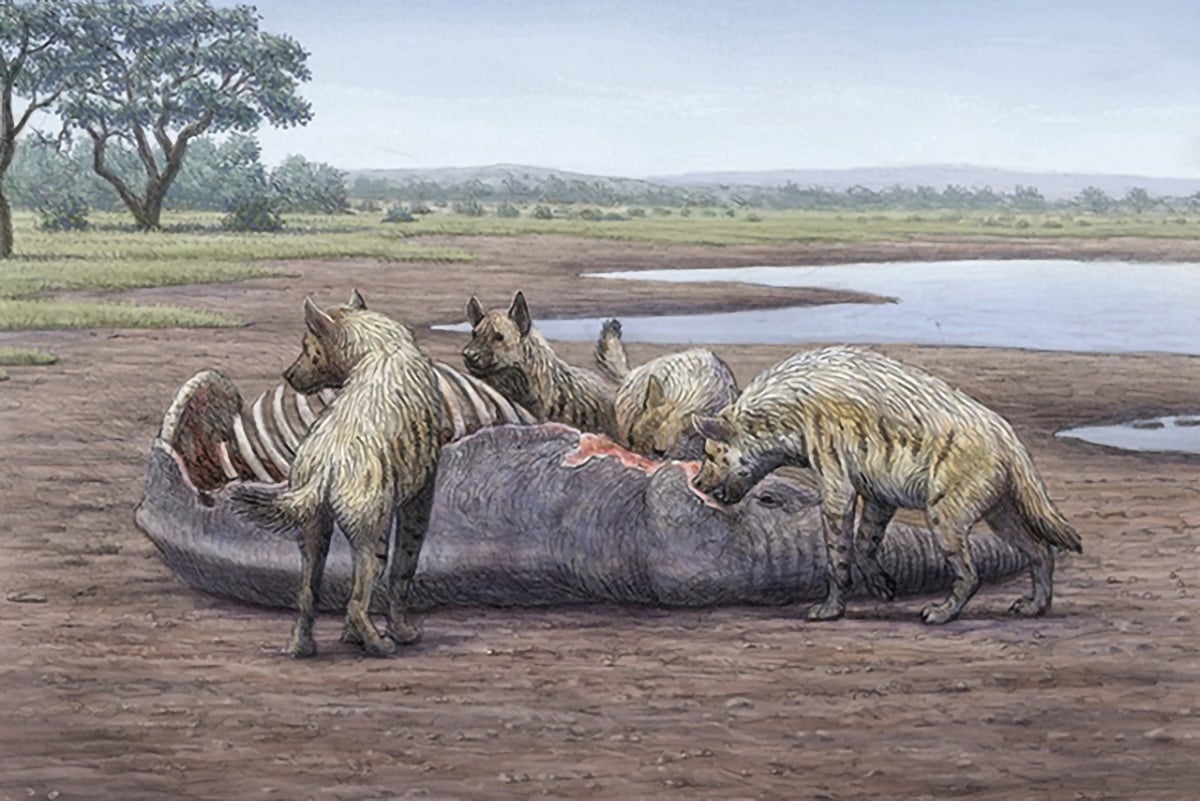 Featured image for "1.4 Million-Year-Old Quicksand Trap Reveals Prehistoric Human and Mammoth Remains"